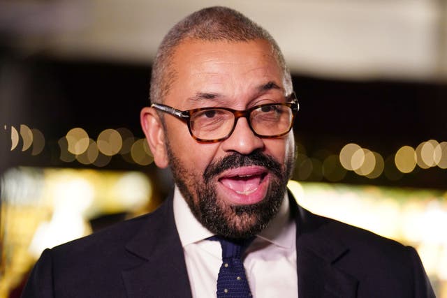 <p>Home secretary James Cleverly</p>