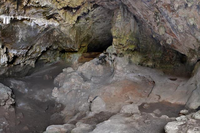 <p>The cave named Cova Bonica, in Vallirana (Barcelona, Spain), where the remains have been found.</p>