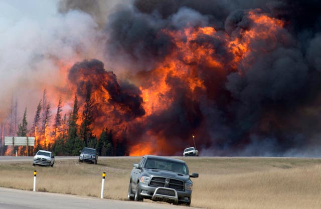 <p>A wildfire rages near Fort McMurray in Alberta in May 2016</p>