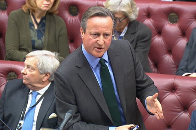 <p>Foreign Secretary Lord David Cameron</p>