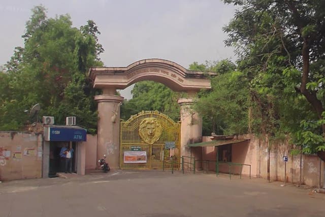 <p>The zoo worker was attacked at Lucknow Zoo in Uttar Pradesh, Suraj, India </p>