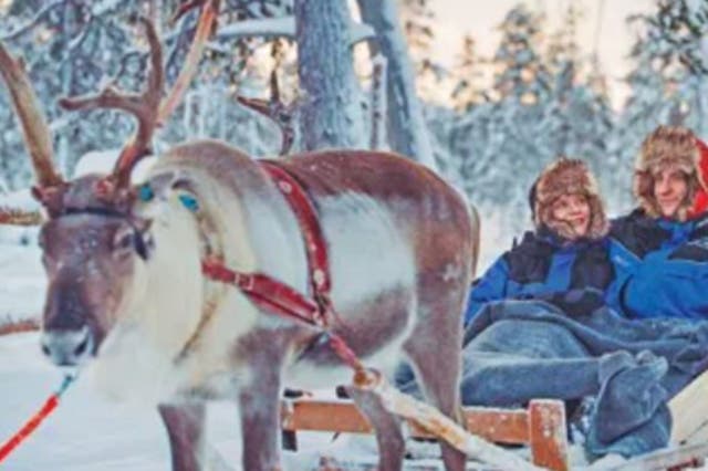 <p>A reindeer safari in Ylläs</p>