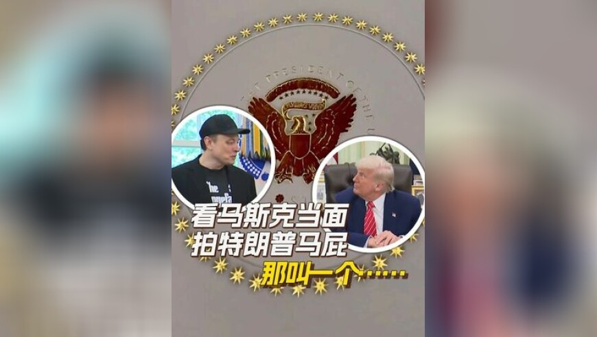 毛孩子的清明假期,香港奥彩4777777王中王凰,权威独家讨论与热门话题_正式版V10.37