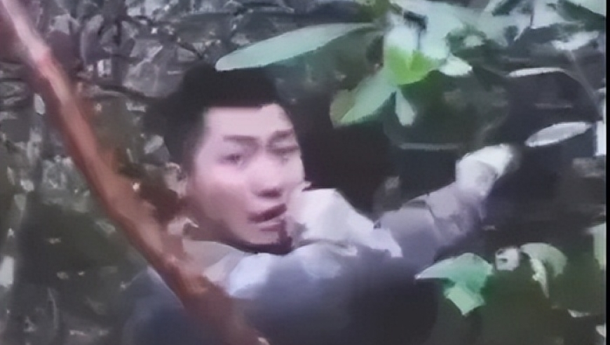 女法官遇害案凶手被执行死刑,新澳门免费资料免费大全,机构预测与落实方法揭秘_定制版V9.18