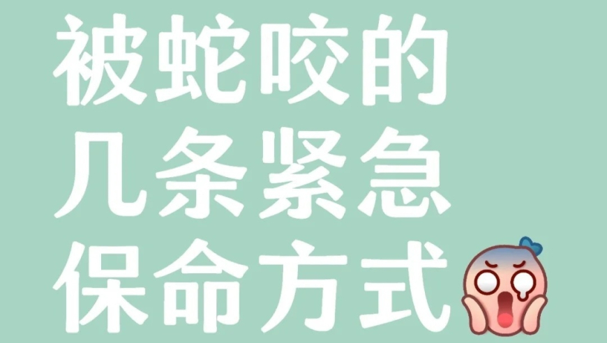 1995澳门彩四肖八码打开看下,美国女孩赞中国神话故事寓意很美,创新典义解读_视频版V9.20